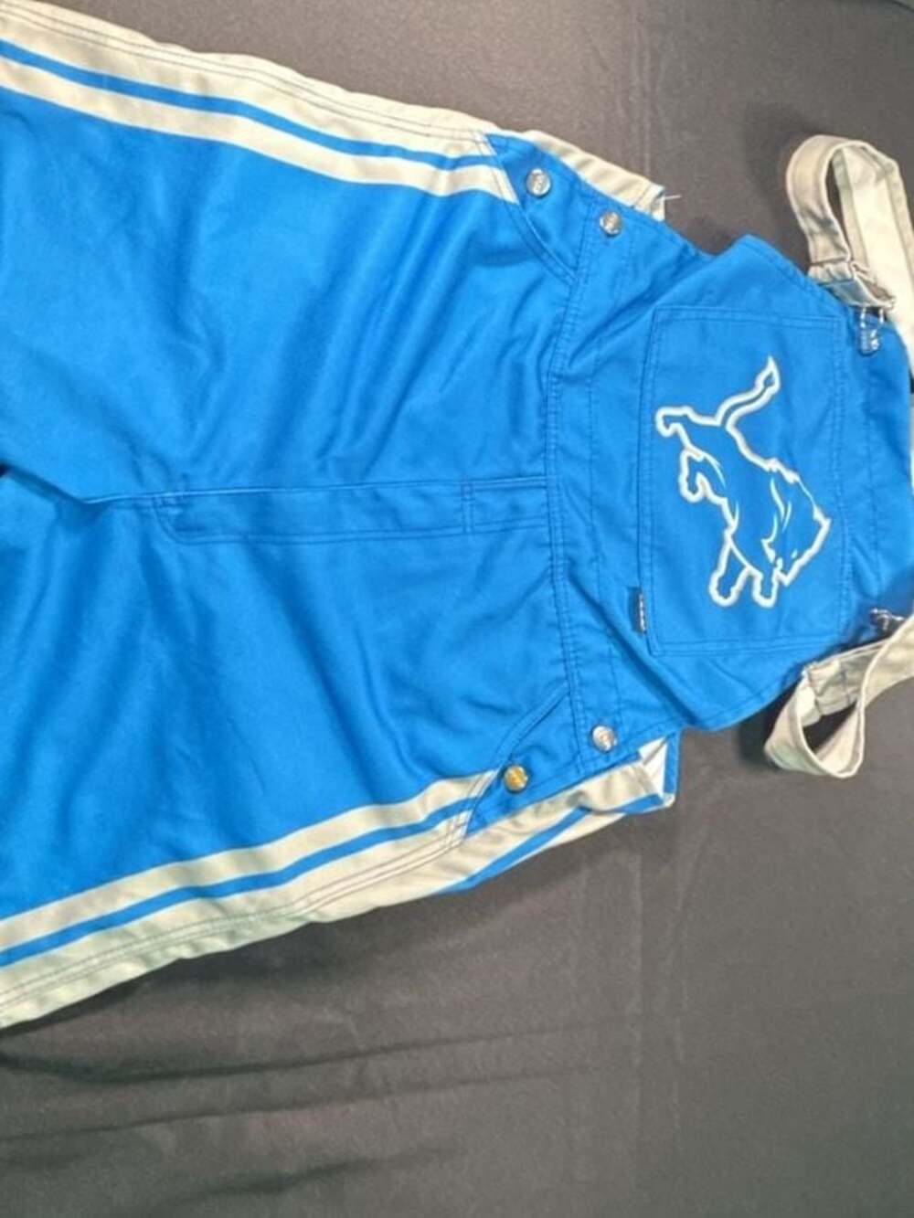 FOCO Detroit Lions Mens Team Stripe Bib Shortalls